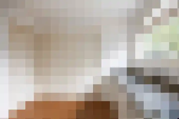 Lamèrisstraat 5 Warffum thumbnail 30