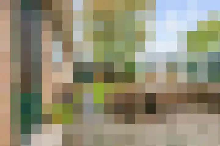Lamèrisstraat 5 Warffum thumbnail 31