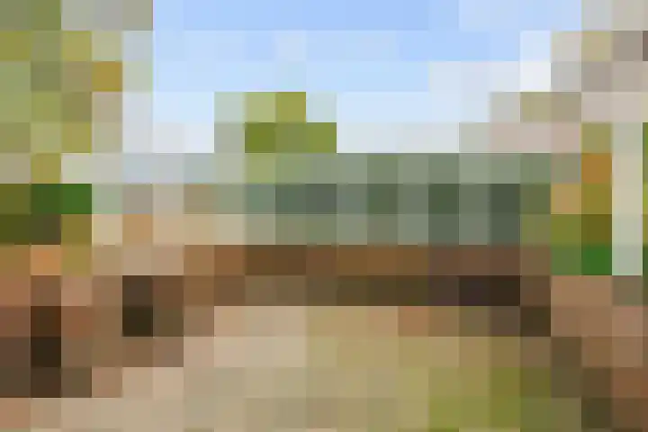 Lamèrisstraat 5 Warffum thumbnail 32