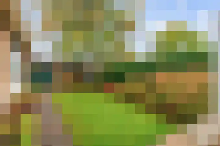 Lamèrisstraat 5 Warffum thumbnail 33