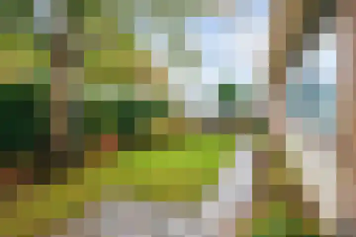 Lamèrisstraat 5 Warffum thumbnail 34