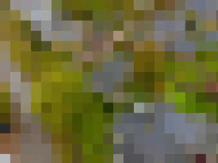 Lamèrisstraat 5 Warffum thumbnail 5