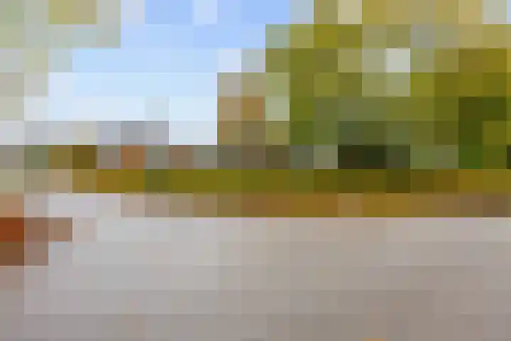 Lamèrisstraat 5 Warffum thumbnail 6