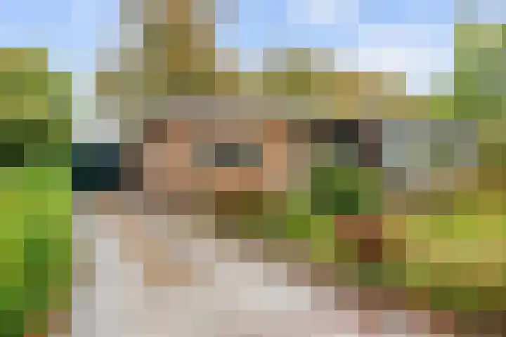 Lamèrisstraat 5 Warffum thumbnail 7