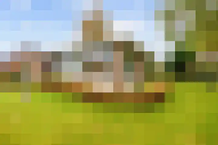 Lamèrisstraat 5 Warffum thumbnail 8