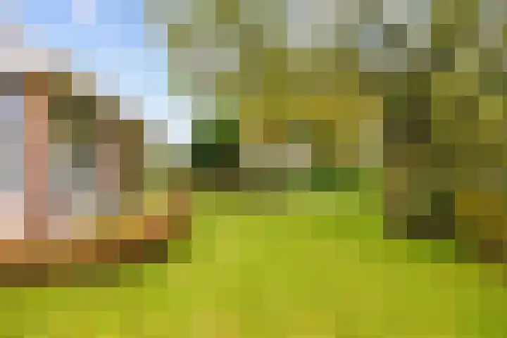 Lamèrisstraat 5 Warffum thumbnail 9