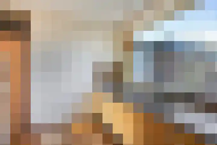 Lameroen 28 Monnickendam thumbnail 17