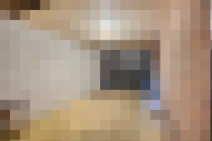 Lameroen 28 Monnickendam thumbnail 22
