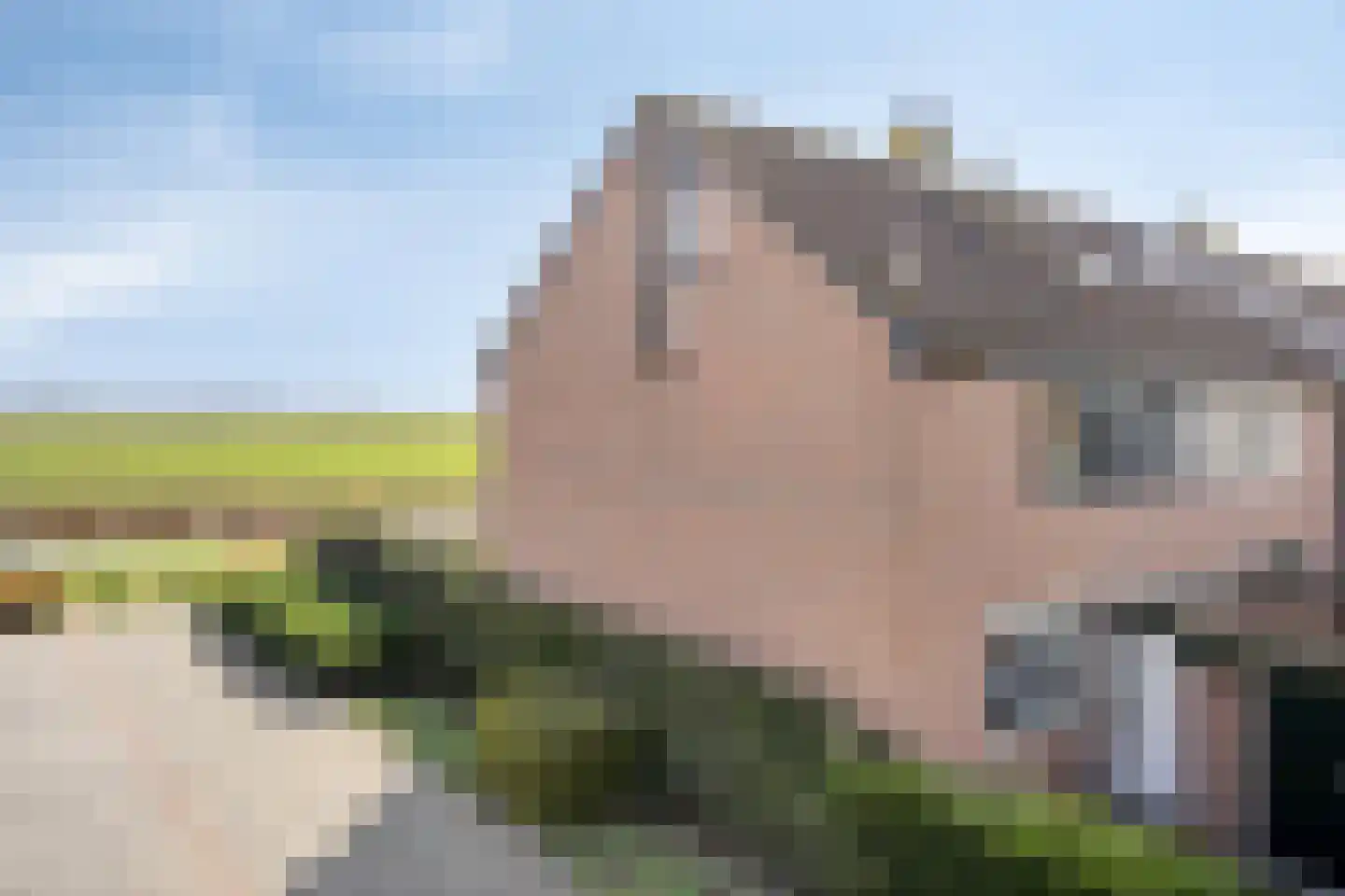 Lameroen 28 Monnickendam thumbnail 40