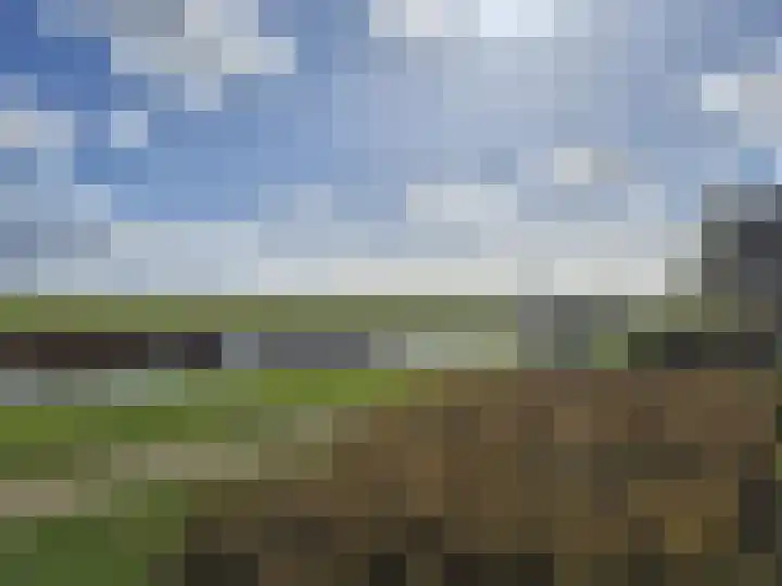 Lameroen 28 Monnickendam thumbnail 51