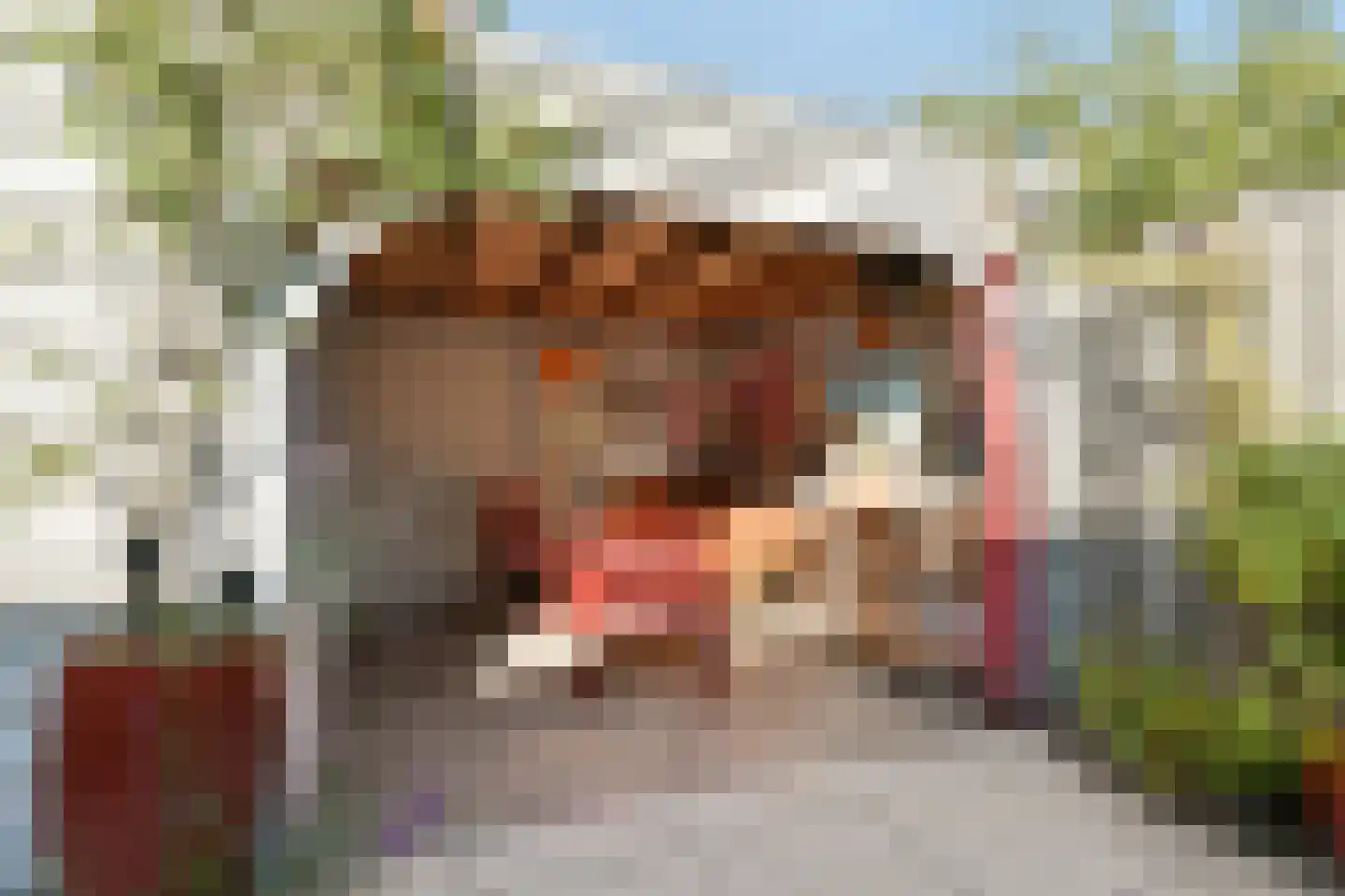 Lameroen 37 Monnickendam thumbnail 6