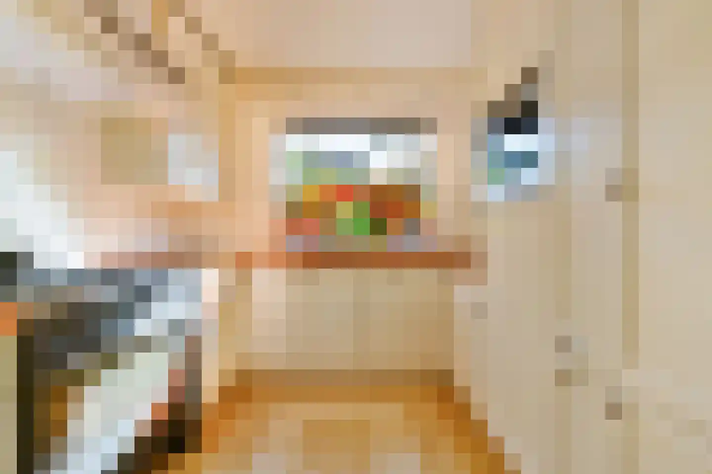 Lameroen 37 Monnickendam thumbnail 8