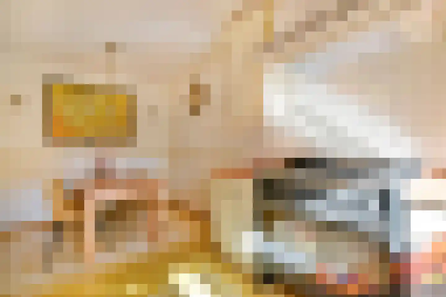 Lameroen 37 Monnickendam thumbnail 9