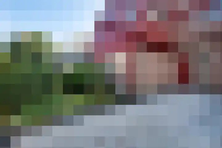 Lameroen 46 Monnickendam thumbnail 12
