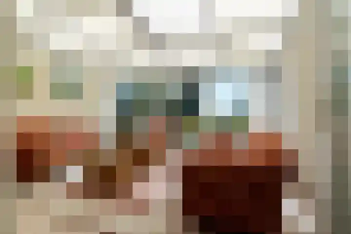 Lameroen 46 Monnickendam thumbnail 20
