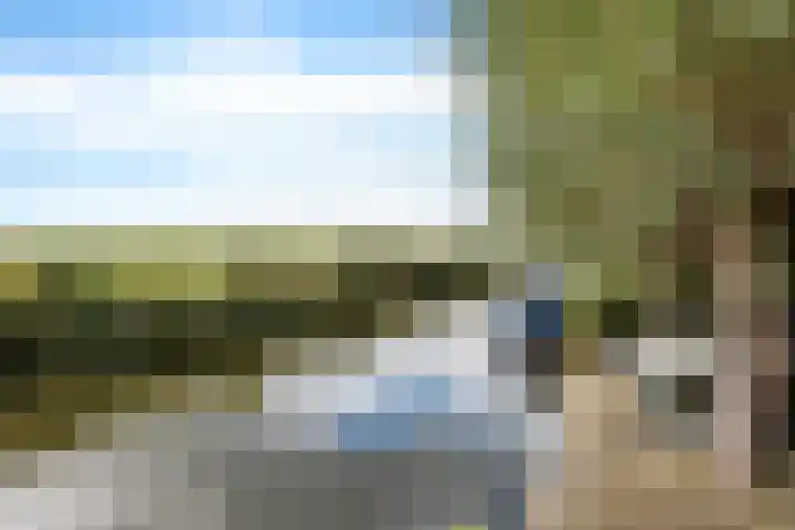 Lameroen 46 Monnickendam thumbnail 30
