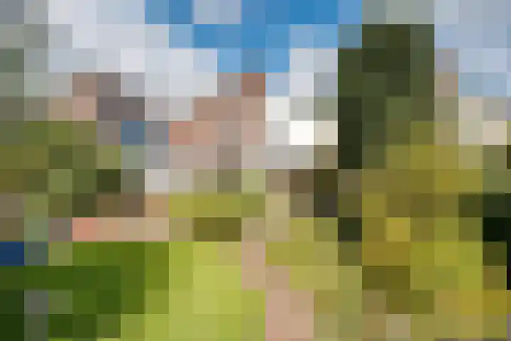 Lameroen 46 Monnickendam thumbnail 31