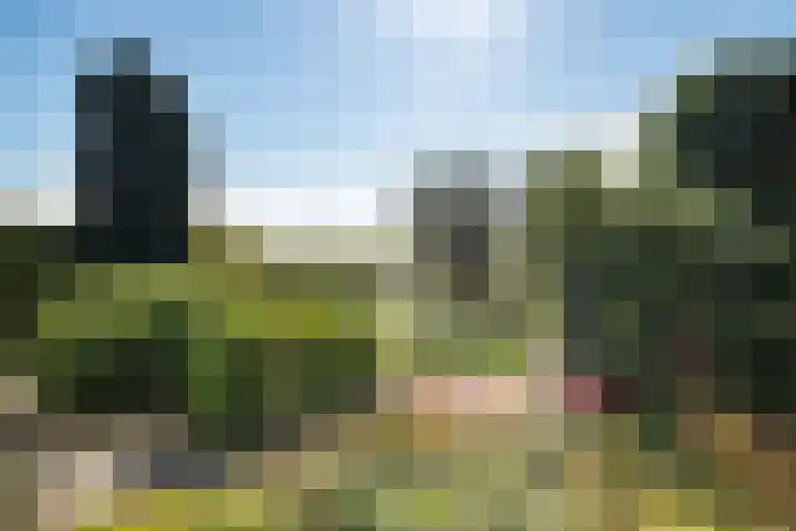 Lameroen 46 Monnickendam thumbnail 33