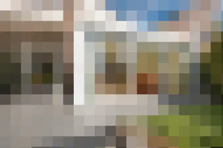 Lameroen 46 Monnickendam thumbnail 35
