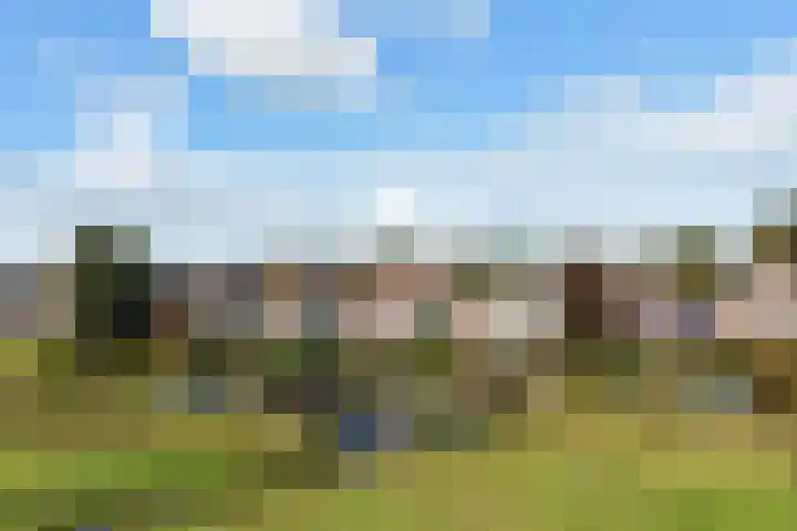 Lameroen 46 Monnickendam thumbnail 4
