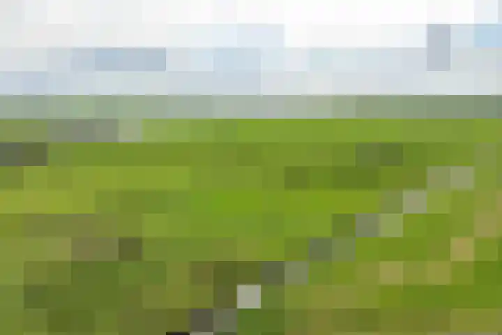 Lameroen 46 Monnickendam thumbnail 6