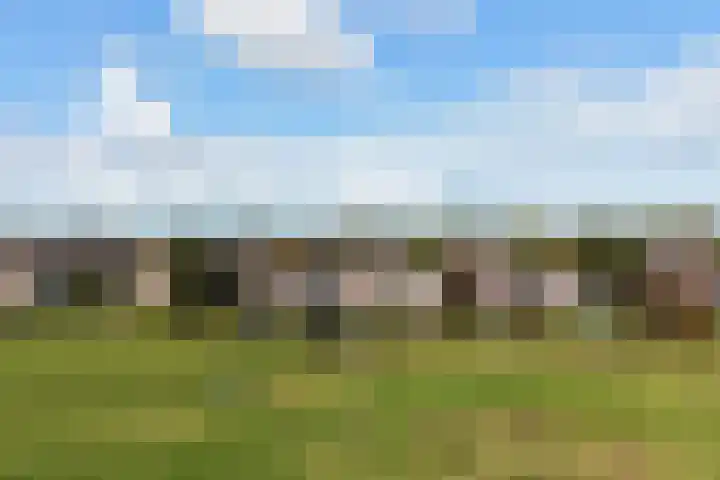 Lameroen 46 Monnickendam thumbnail 60