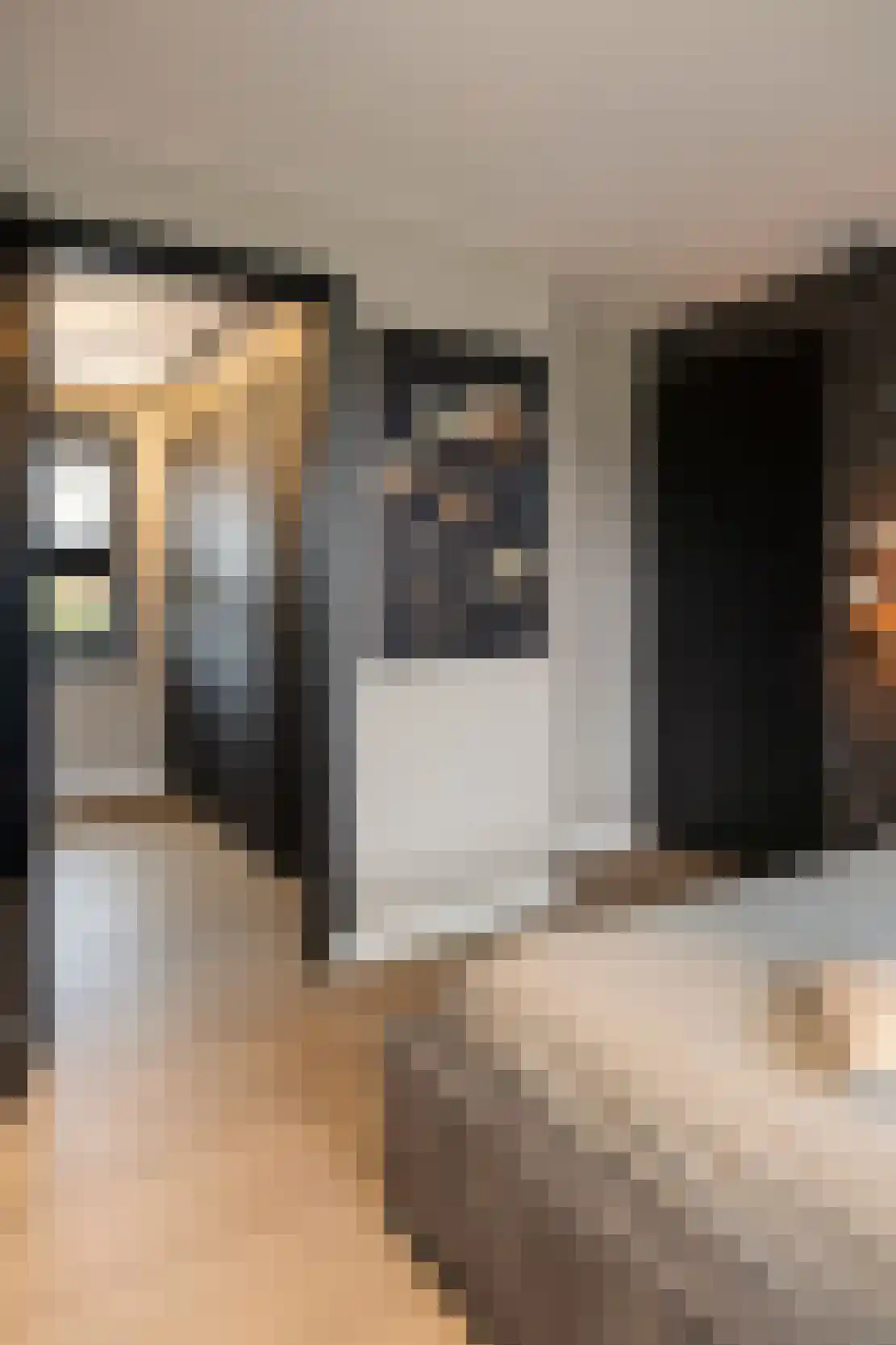 Lamersgriend 14 Herten thumbnail 30