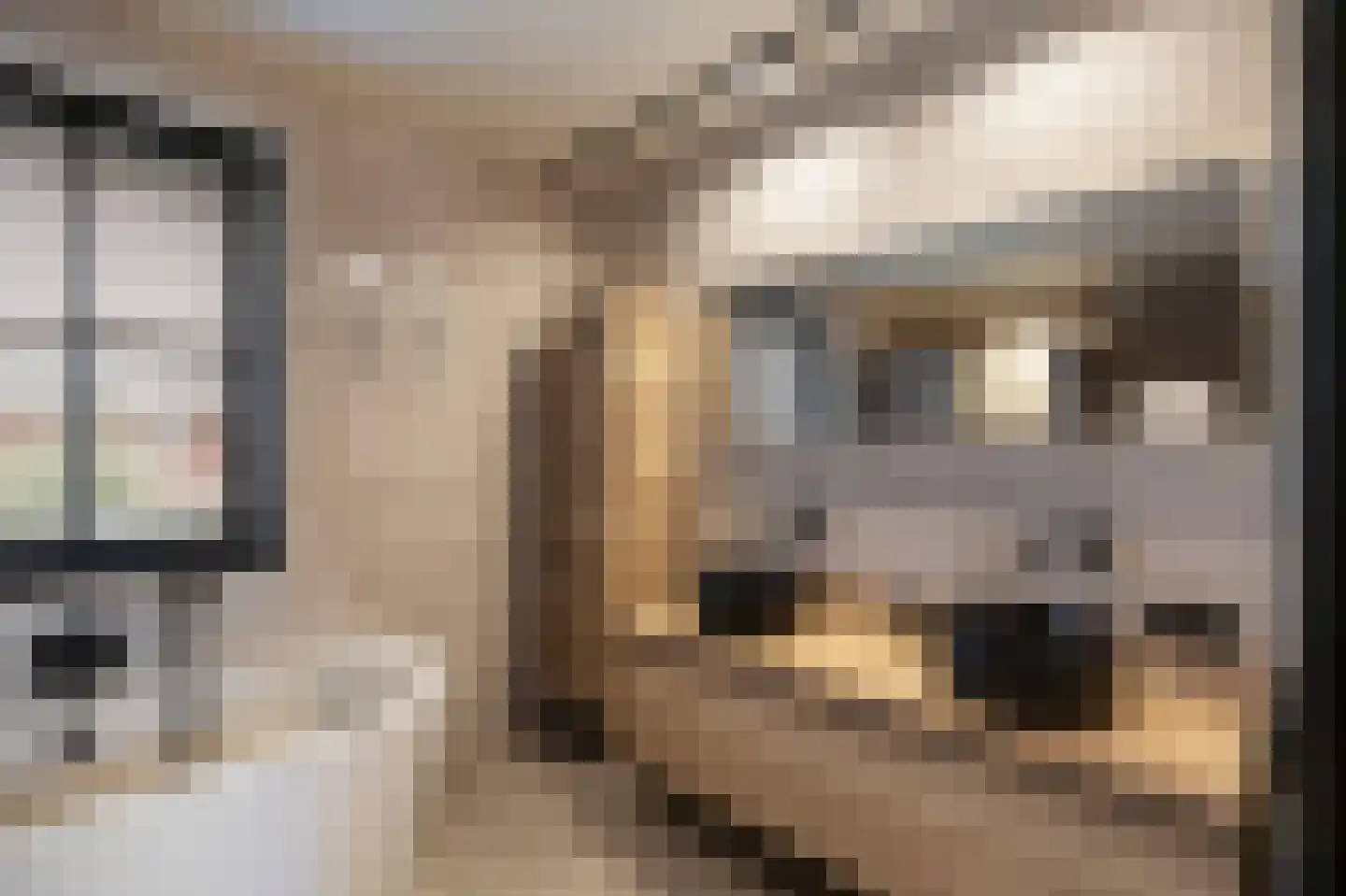 Lamersgriend 14 Herten thumbnail 34