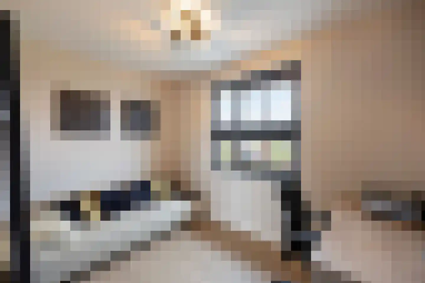 Lamersgriend 14 Herten thumbnail 37