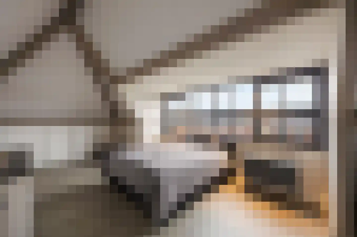 Lamersgriend 14 Herten thumbnail 42