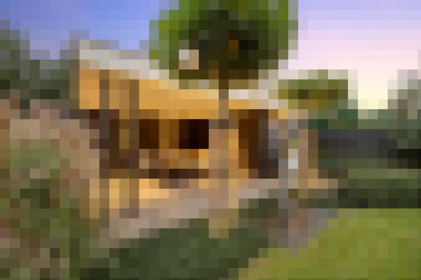 Lamersgriend 14 Herten thumbnail 55