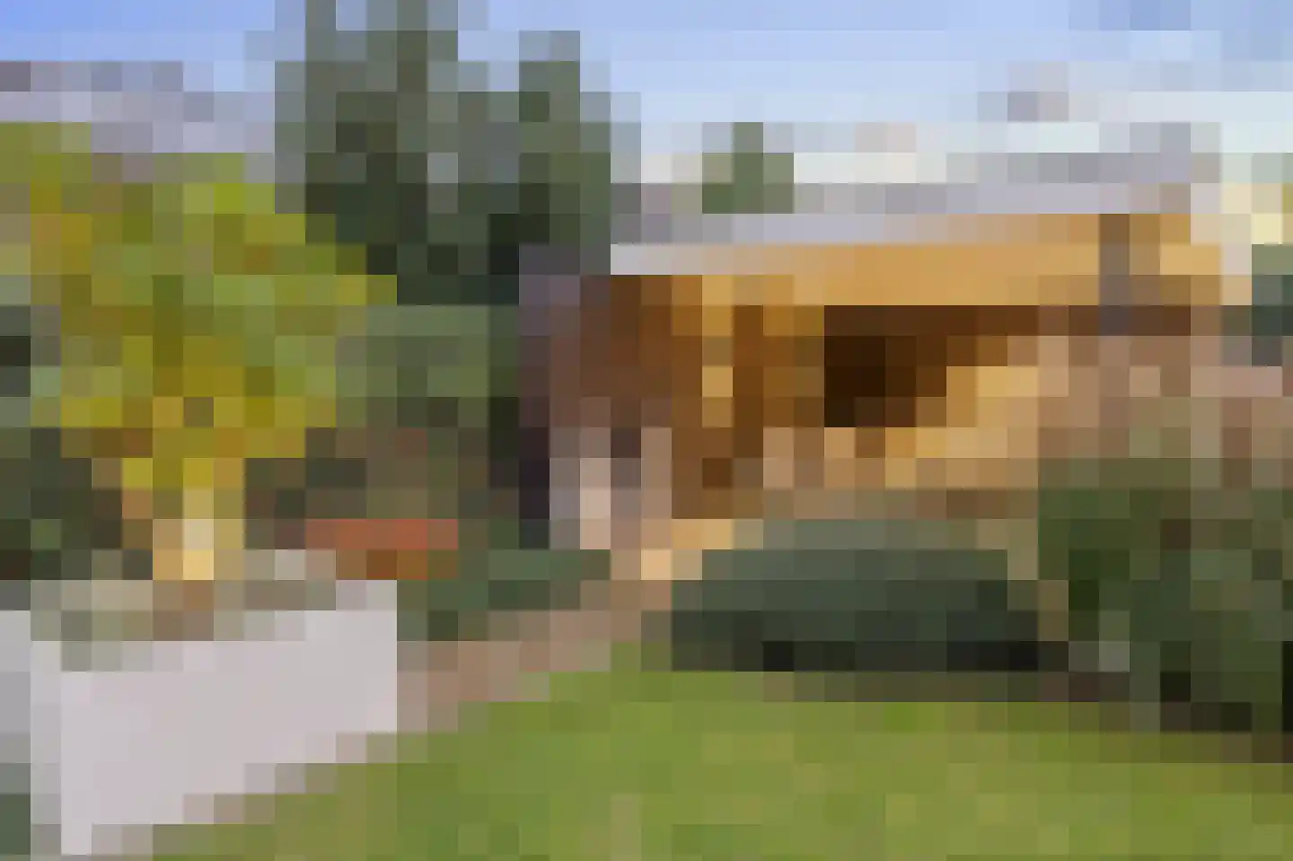 Lamersgriend 14 Herten thumbnail 58