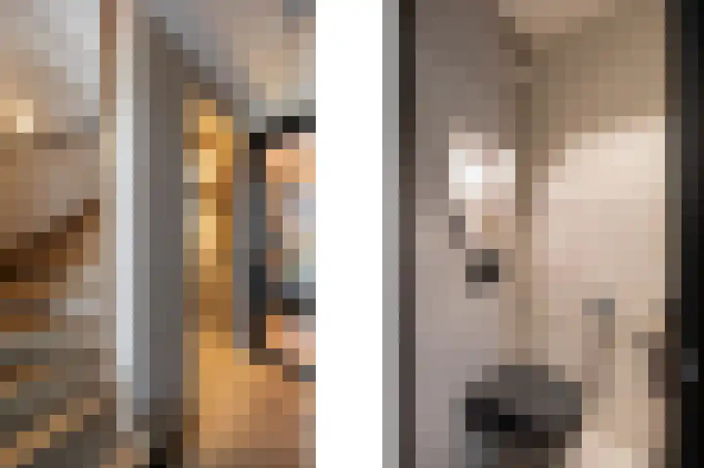 Lamersgriend 14 Herten thumbnail 6
