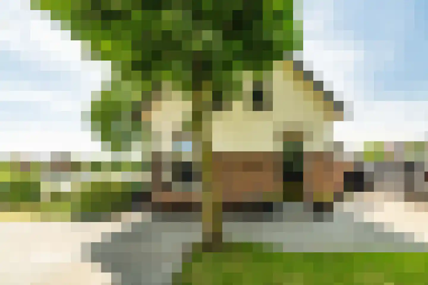 Lammenschansplein 3 Leiden thumbnail 35