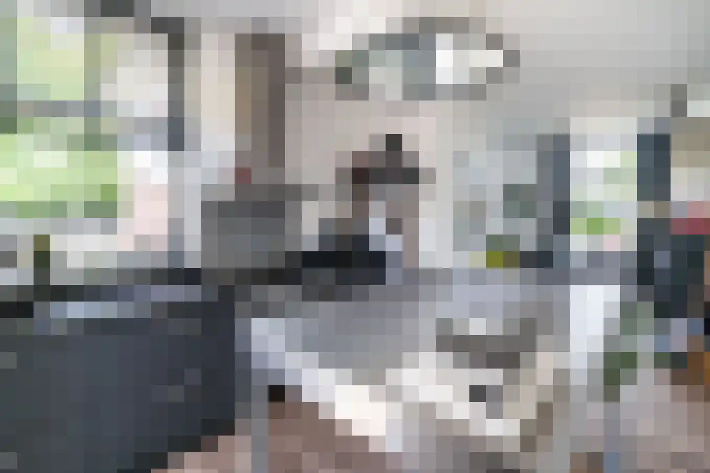 Lammenschansplein 3 Leiden thumbnail 37
