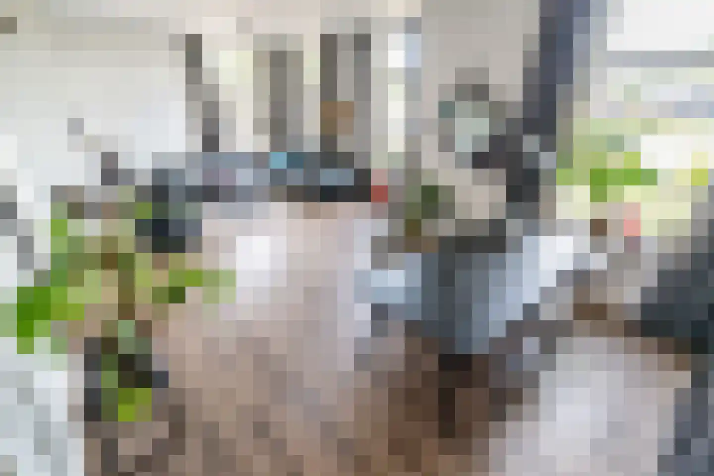Lammenschansplein 3 Leiden thumbnail 5