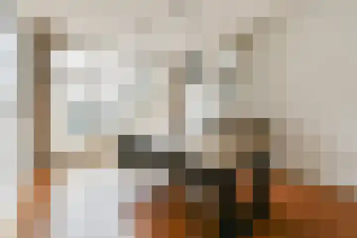 Lammenschansweg 125 Leiden thumbnail 11