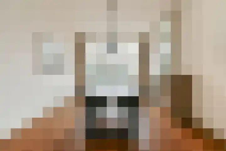 Lammenschansweg 125 Leiden thumbnail 12