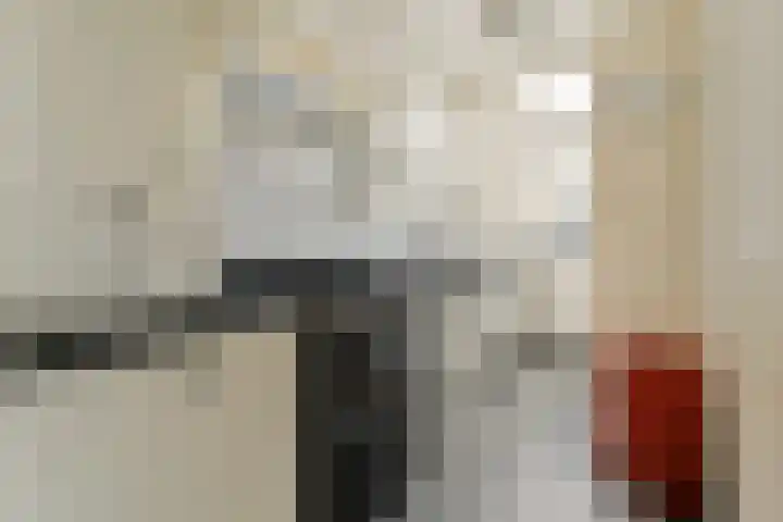 Lammenschansweg 125 Leiden thumbnail 13