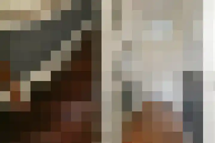 Lammenschansweg 125 Leiden thumbnail 18