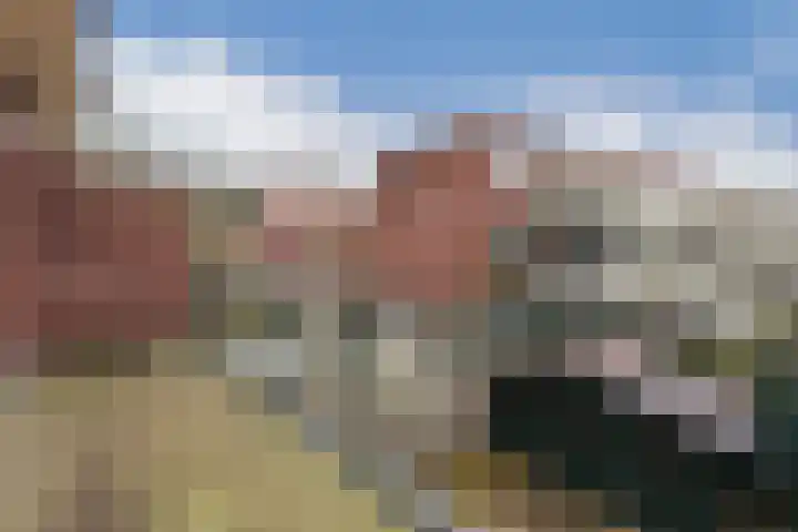Lammenschansweg 125 Leiden thumbnail 24