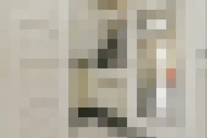 Lammenschansweg 125 Leiden thumbnail 7