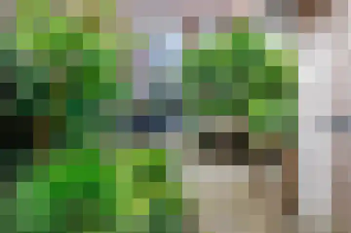 Lammenschansweg 131 Leiden thumbnail 18