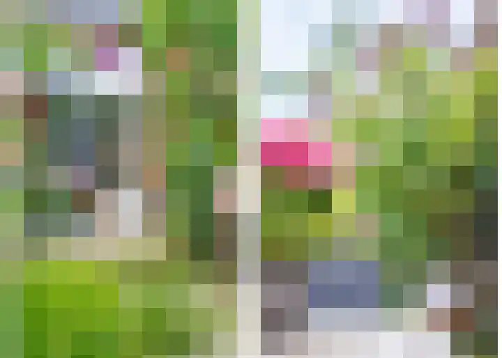 Lammenschansweg 131 Leiden thumbnail 19