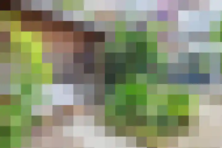 Lammenschansweg 131 Leiden thumbnail 20