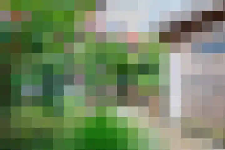 Lammenschansweg 131 Leiden thumbnail 21