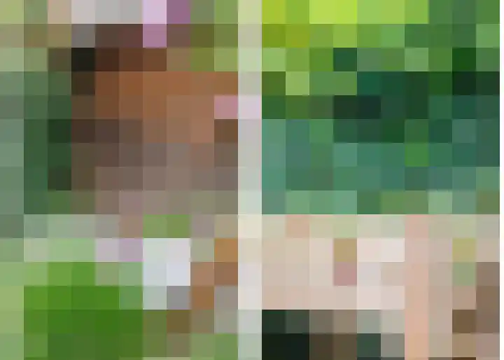 Lammenschansweg 131 Leiden thumbnail 22