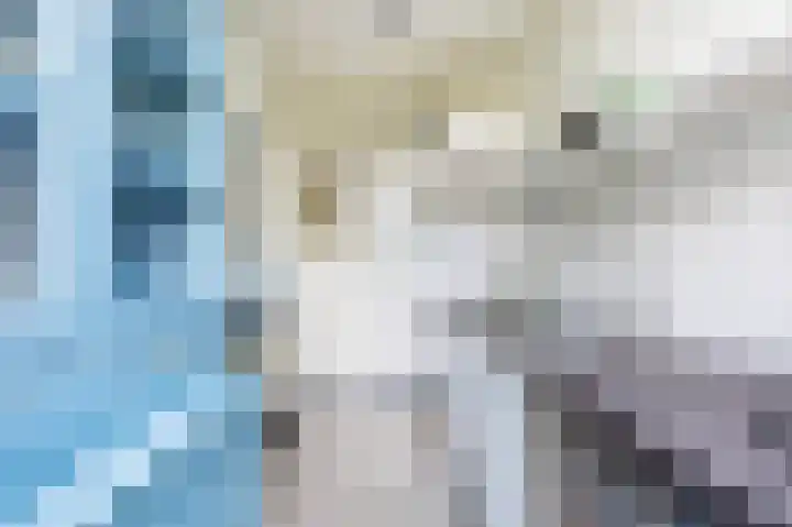 Lammenschansweg 131 Leiden thumbnail 23
