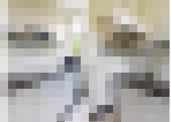 Lammenschansweg 131 Leiden thumbnail 24