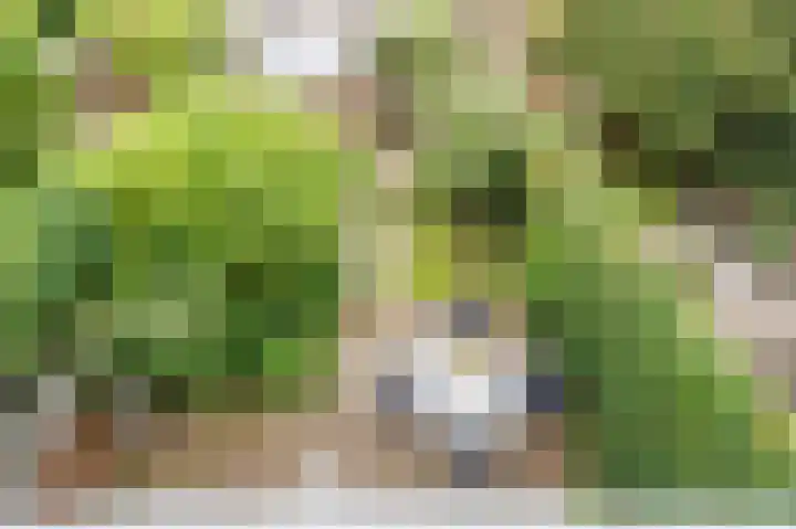 Lammenschansweg 131 Leiden thumbnail 33